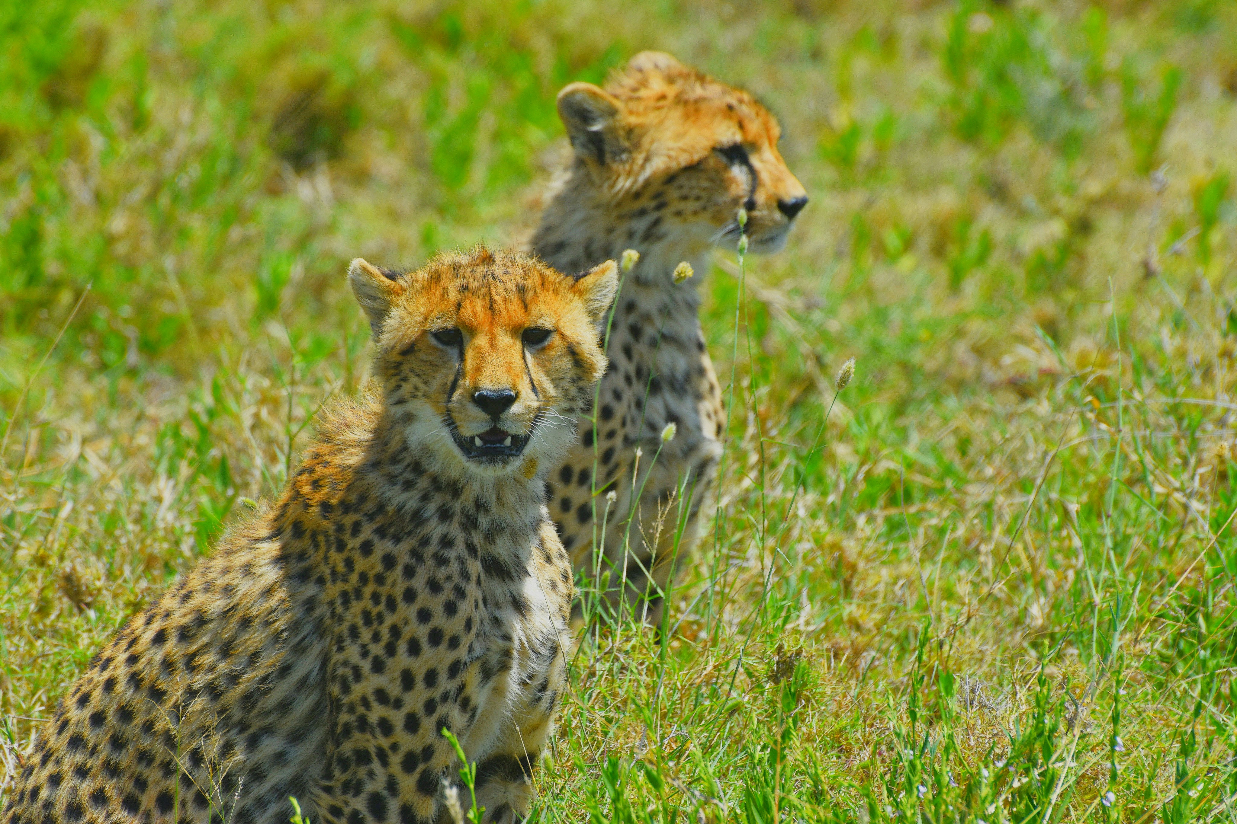 North Island Adventure Tour